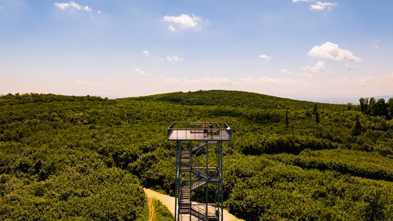SS_Kaiser-Jubil&auml;ums-Warte on the Eschenkogel, &copy; Sascha Schernthaner_Wienerwald Tourismus