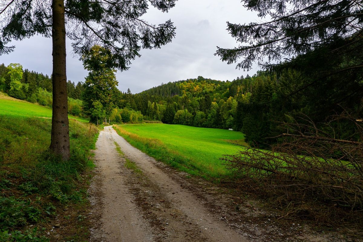 Traunfellnerova cesta