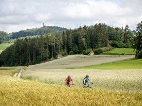 Granittrail, Ruine Arbesbach, &copy; Unknown