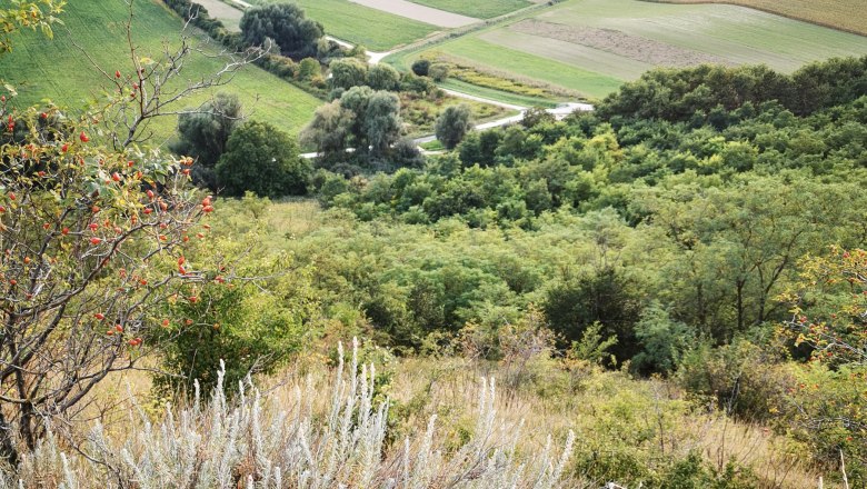 OberschoderleeBlaueWandHornmelde1(c)Gde Stronsdorf, &copy; Gemeinde Stronsdorf