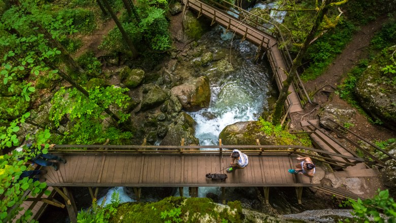 Myra Falls Muggendorf, © Wiener Alpen/Christian Kremsl