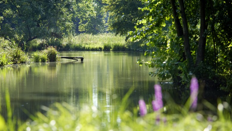 Harrachův park, &copy; Natur im Garten/Alexander Haiden