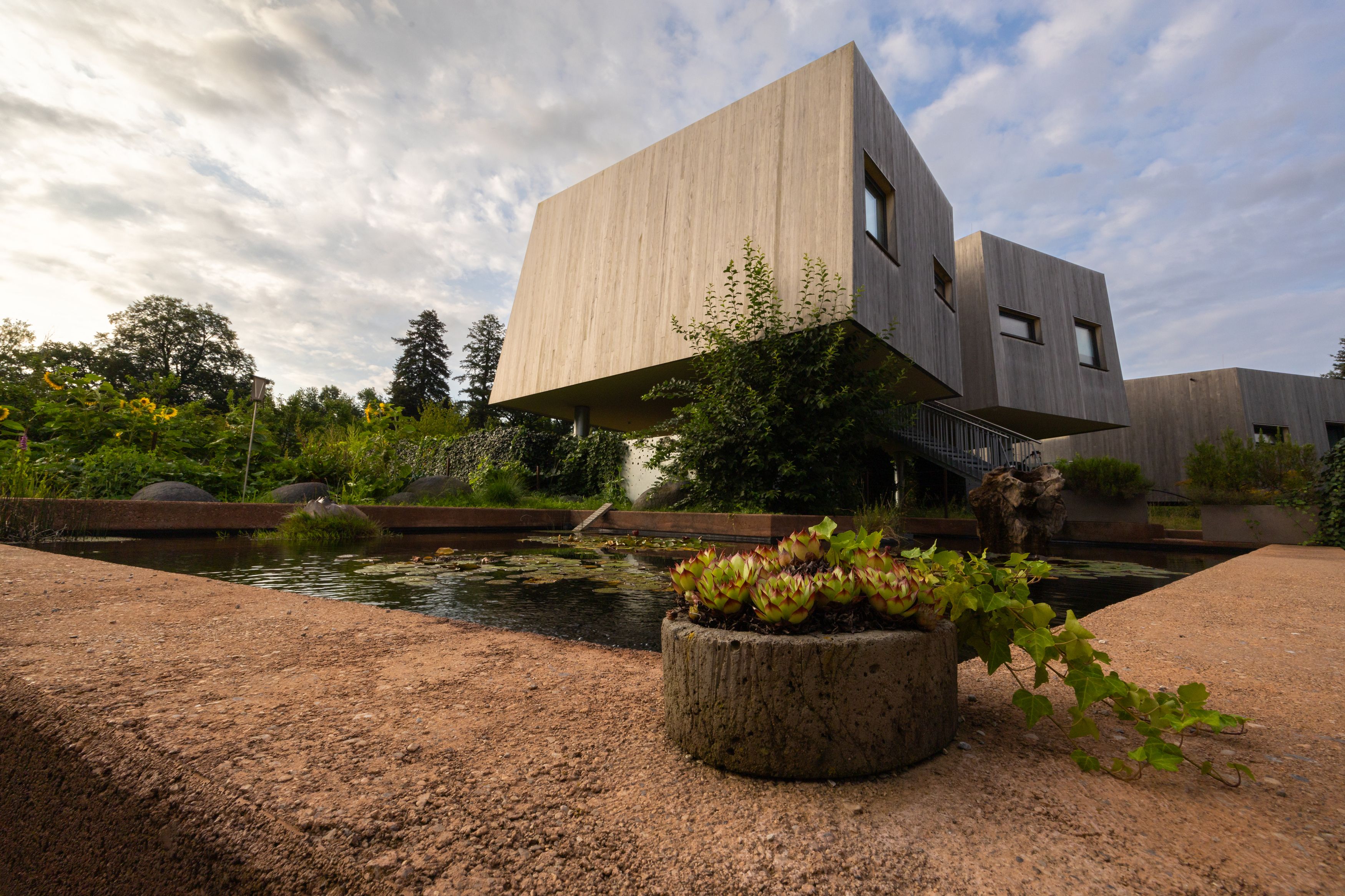 Moderní dřevěné zahradní lofty s jezírkem a rostlinami v popředí.