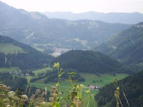 Zwickelreit - G&auml;nsau, &copy; Mostviertel