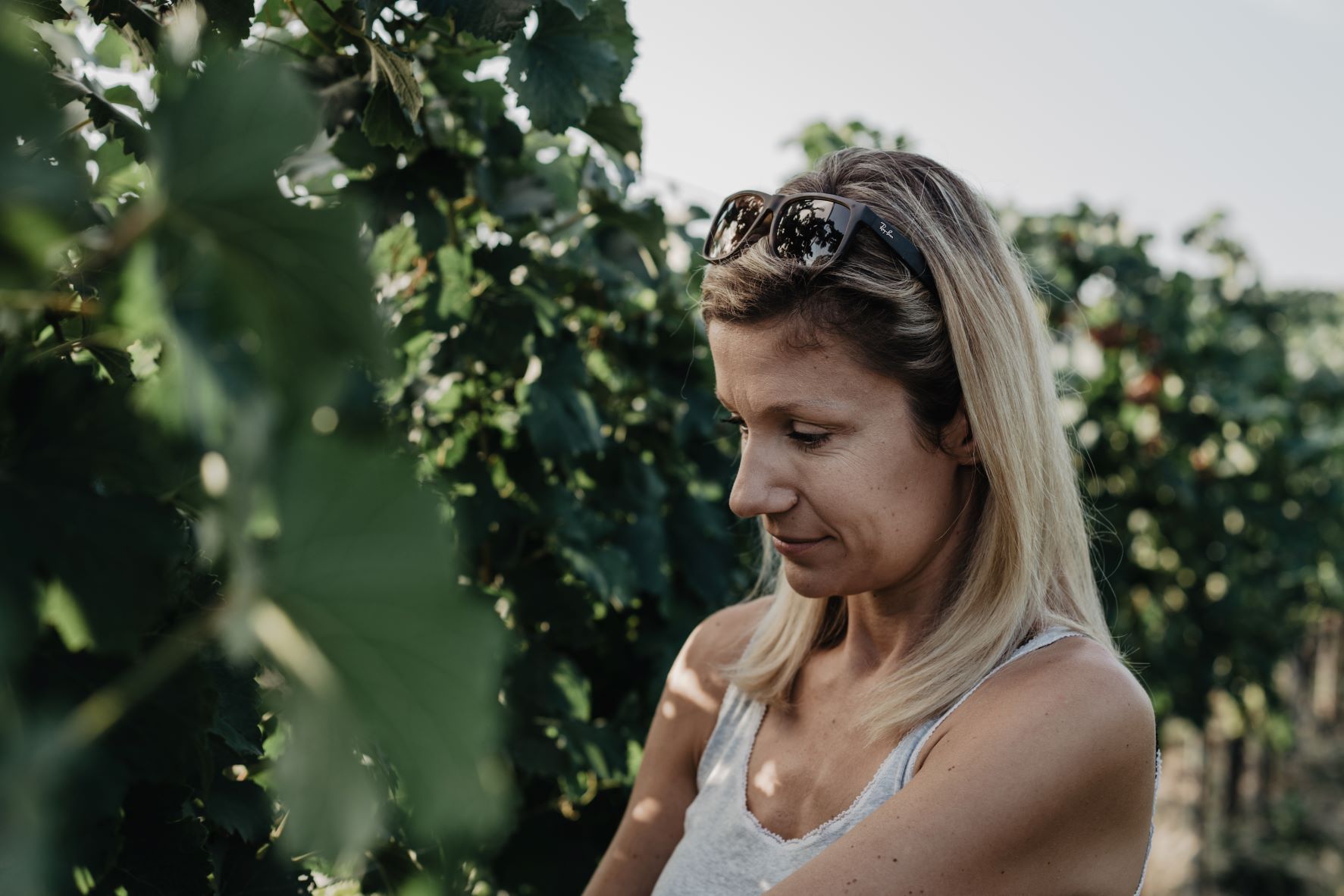 Vinařka Marlies Müller-Hanke