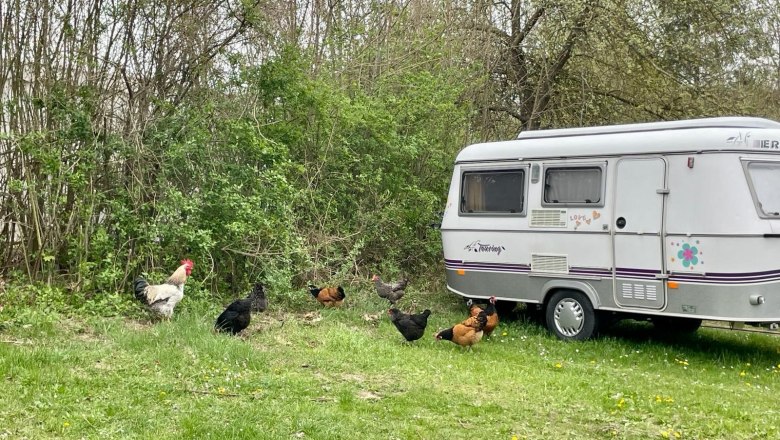 Finsterhof1, &copy; Camping Finsterhof