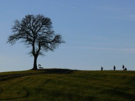 Elsweg Motiv, &copy; Mostviertel Tourismus/@Haus der Elsbeere