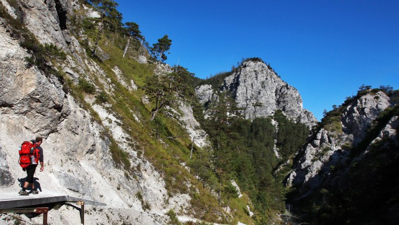 Wandern durch die Ötschergräben, © weinfranz.at