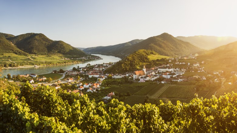 Pohled na vinařskou obec Spitz a Dunaj., © Donau NÖ/Robert Herbst