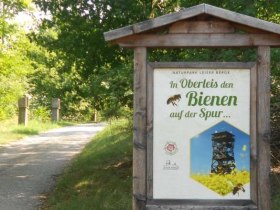 Včel&iacute; naučn&aacute; stezka Oberleiserberg, &copy; Marktgemeinde Ernbstbrunn