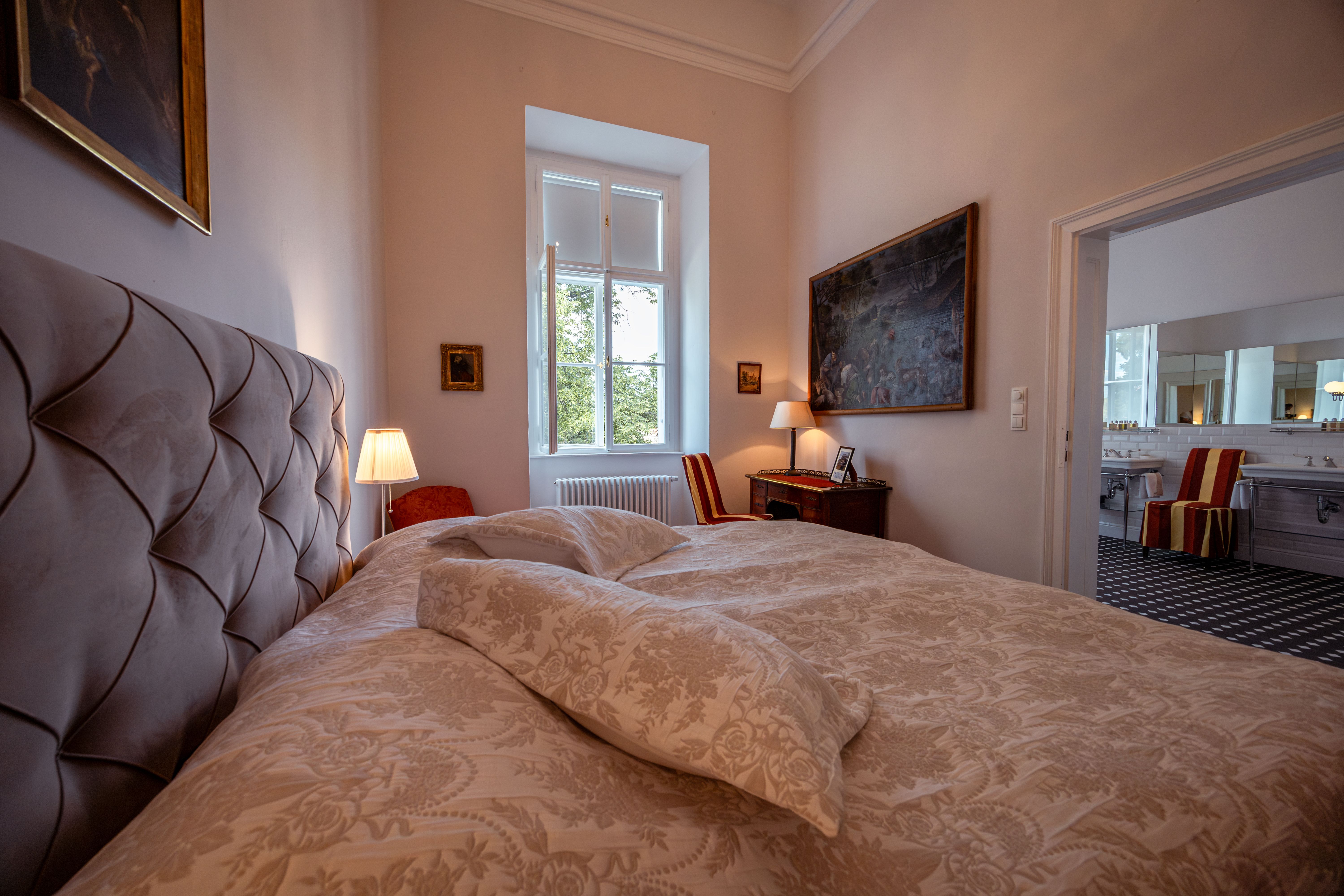 Letecký pohled na hrad Horn s červenou střechou a hodinovou věží, obklopený stromy a městem v pozadí.