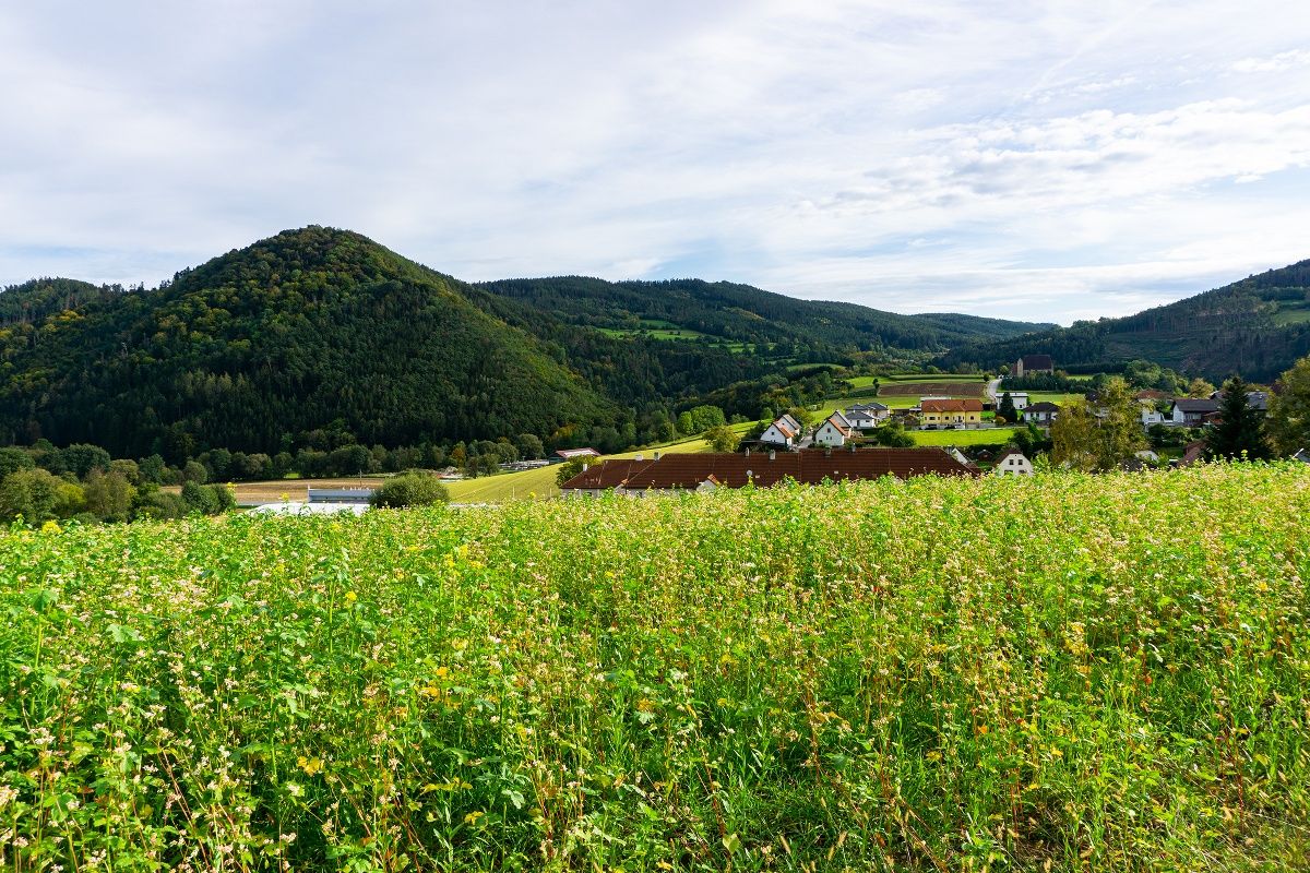 Výhled na Mandlgupf, Hinterberg a kostel sv. Anny