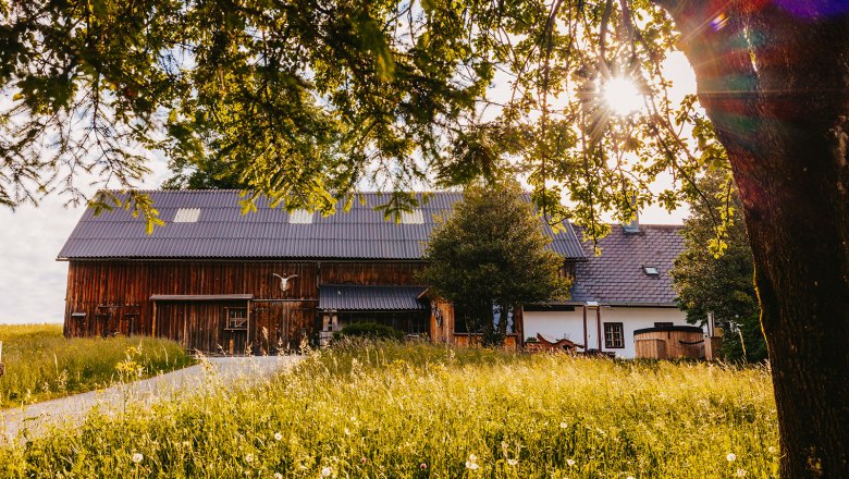 Nestelberg 17 (c)Marlene Schindlegger (42), © Sabine Wieser