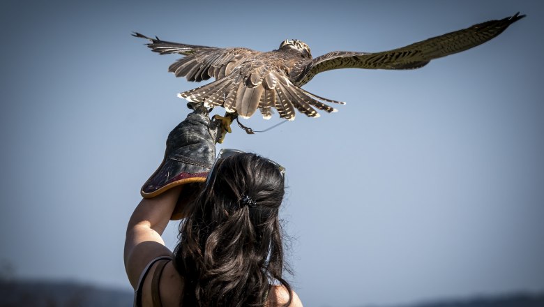 Flugvorführung, © Stefan Lichtenthal