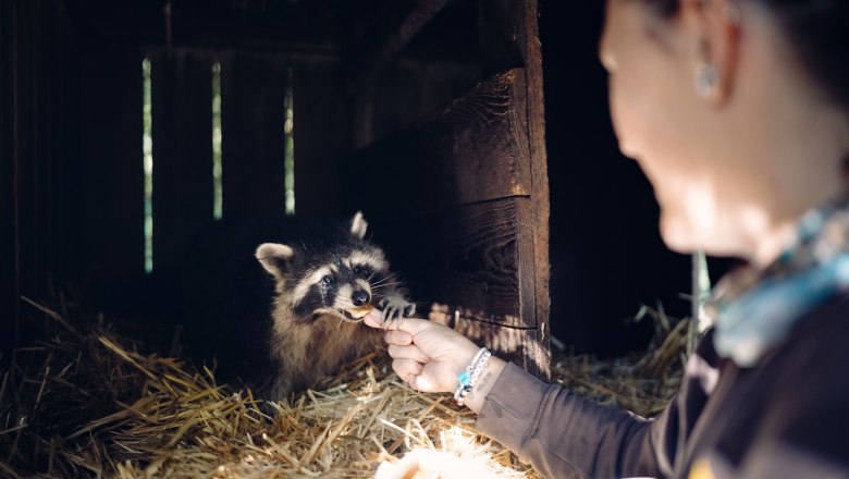 City of Haag Zoo, &copy; Moststra&szlig;e, dochbodnliacht