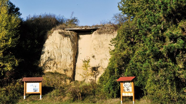 Display boards on the ice age hiking trail on the Galgenberg in Stratzing, &copy; POV_Gemeinde Stratzing