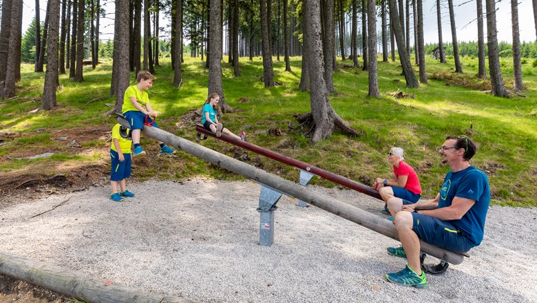 Lots of variety on the swing path, © Erlebnisalm Mönichkirchen, Christian Kremsl