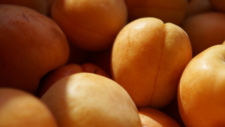Wachau apricots, © Steve Haider