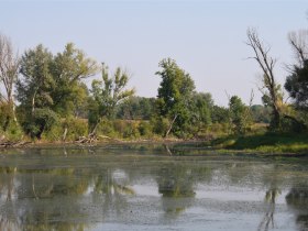 Auwanderweg, &copy; Alfred Knasmillner