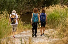 Ortsrunde Senftenberg, &copy; Wachau-Nibelungengau-Kremstal