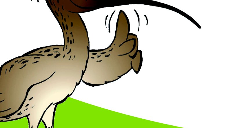 Mr. Piep theme trail, © Marktgemeinde Ardagger