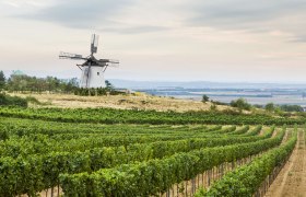 Větrný mlýn v Retzu v regionu Weinviertel, © Niederösterreich-Werbung/ M. Liebert