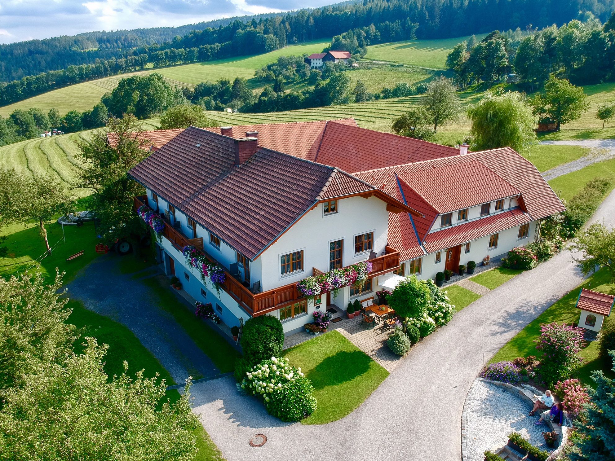 Letecký pohled na velkou farmu s červenými střechami, obklopenou zelenými poli a stromy.