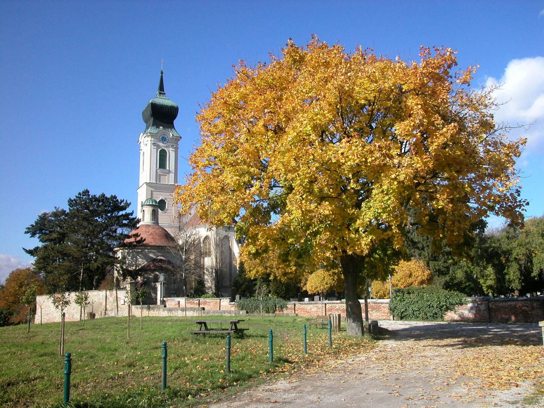 Kostel s věží a podzimním stromem v popředí.