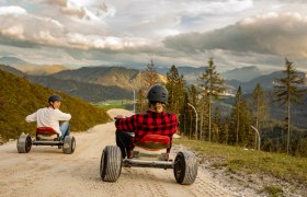 Svižná jízda z kopce na horských motokárách!, © Niederösterreich-CARD/schwarz-koenig.at