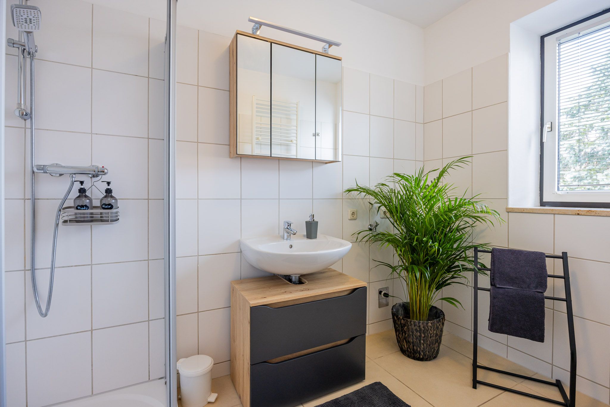 Moderní koupelna se sprchovým koutem, umyvadlem, zrcadlem a rostlinou.
