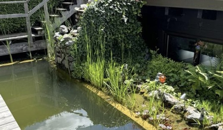 Biotope with waterfall, © Haus Anton