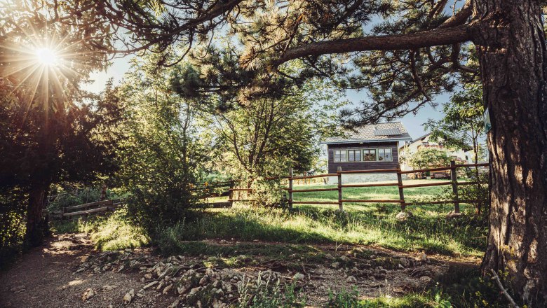 Hohe Wand Nature Park, © Naturpark Hohe Wand/Fraller