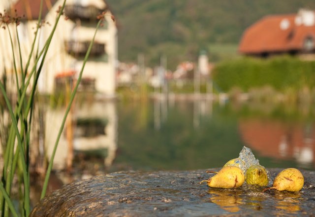 Bathing pond, © Residenz Wachau