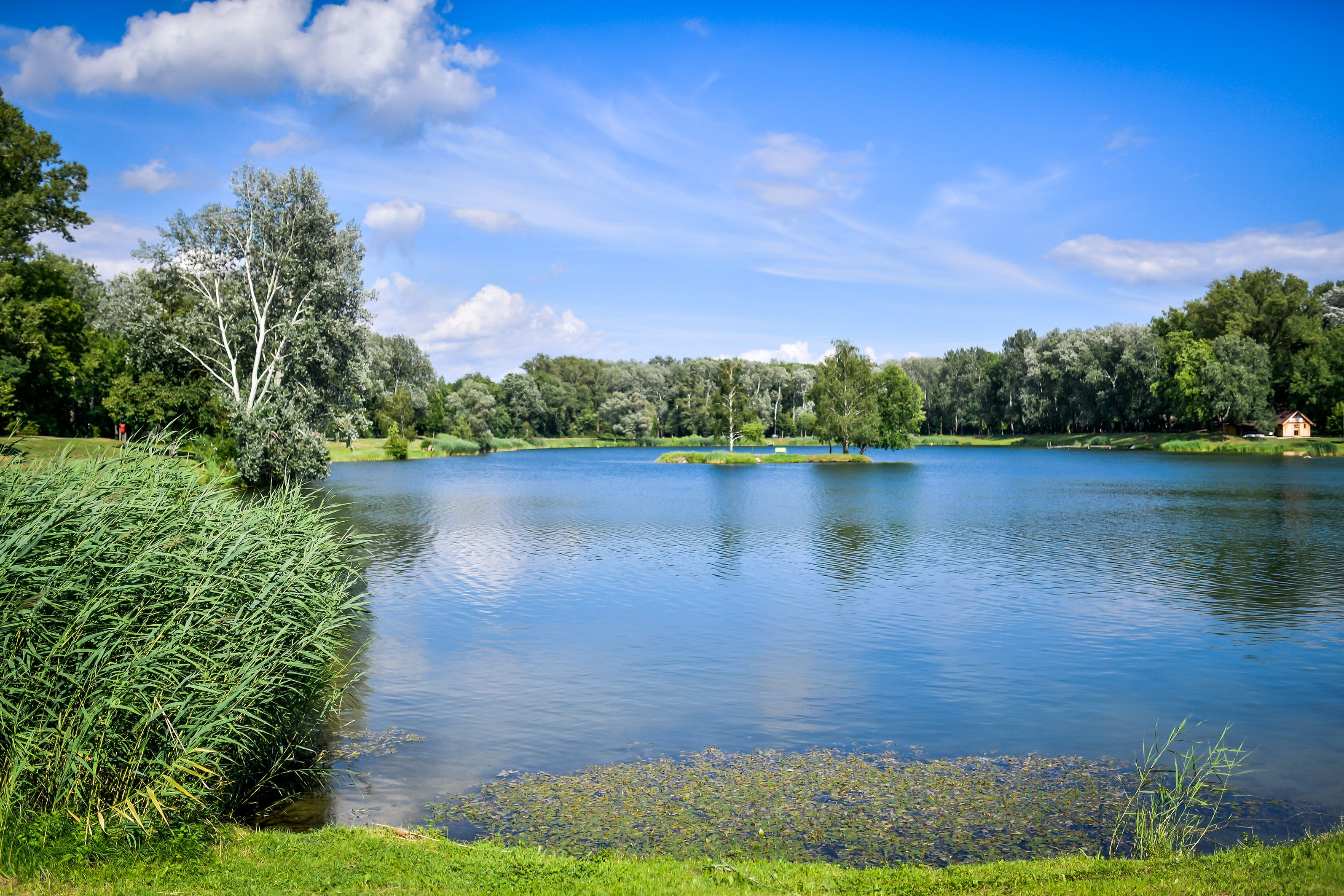 Aubad_Tulln_2_C_Robert_Herbst