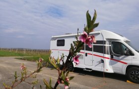 Motorhome parking space, © Weingut Studeny