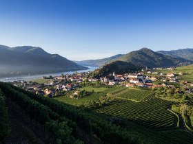 Ausblick auf Spitz im Sommer, &copy; Donau Nieder&ouml;sterreich/Lachlan Blair