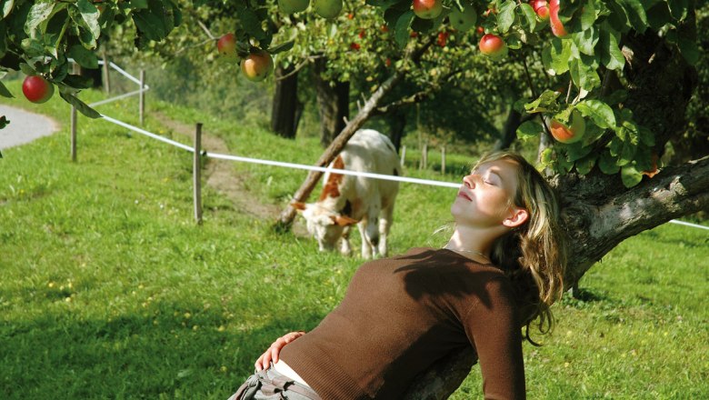 Odpočinek v hotelu Nussbaumerhof, &copy; Strei&szlig;lberger Josef und Monika