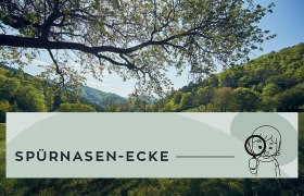 Sp&uuml;rnasenrunden Heiligenkreuz, &copy; Wienerwald Tourismus GmbH / Andreas Hofer