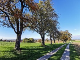 Edlachova dr&aacute;ha, &copy; Brigitte Hofschwaiger