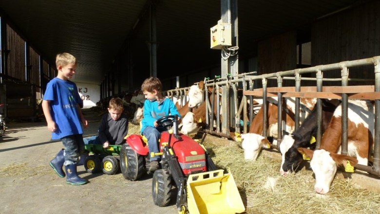 Kerndlerhof children in the stable, © Kerndlerhof