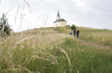 Cesta k vlastnímu nitru na Svatojakubské cestě Weinviertel, © Weinviertel Tourismus/ Wurnig