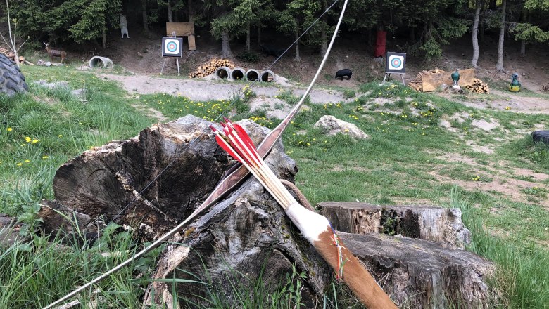 3D archery course, © Herwig Kerbl
