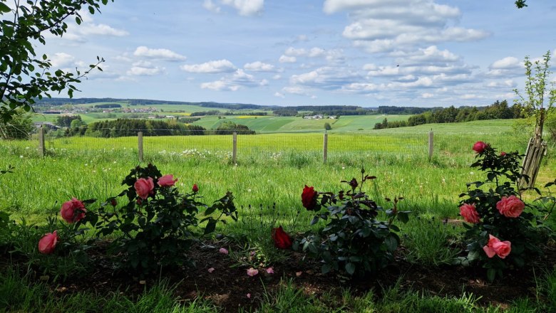 Rose garden with a view, © U.E.