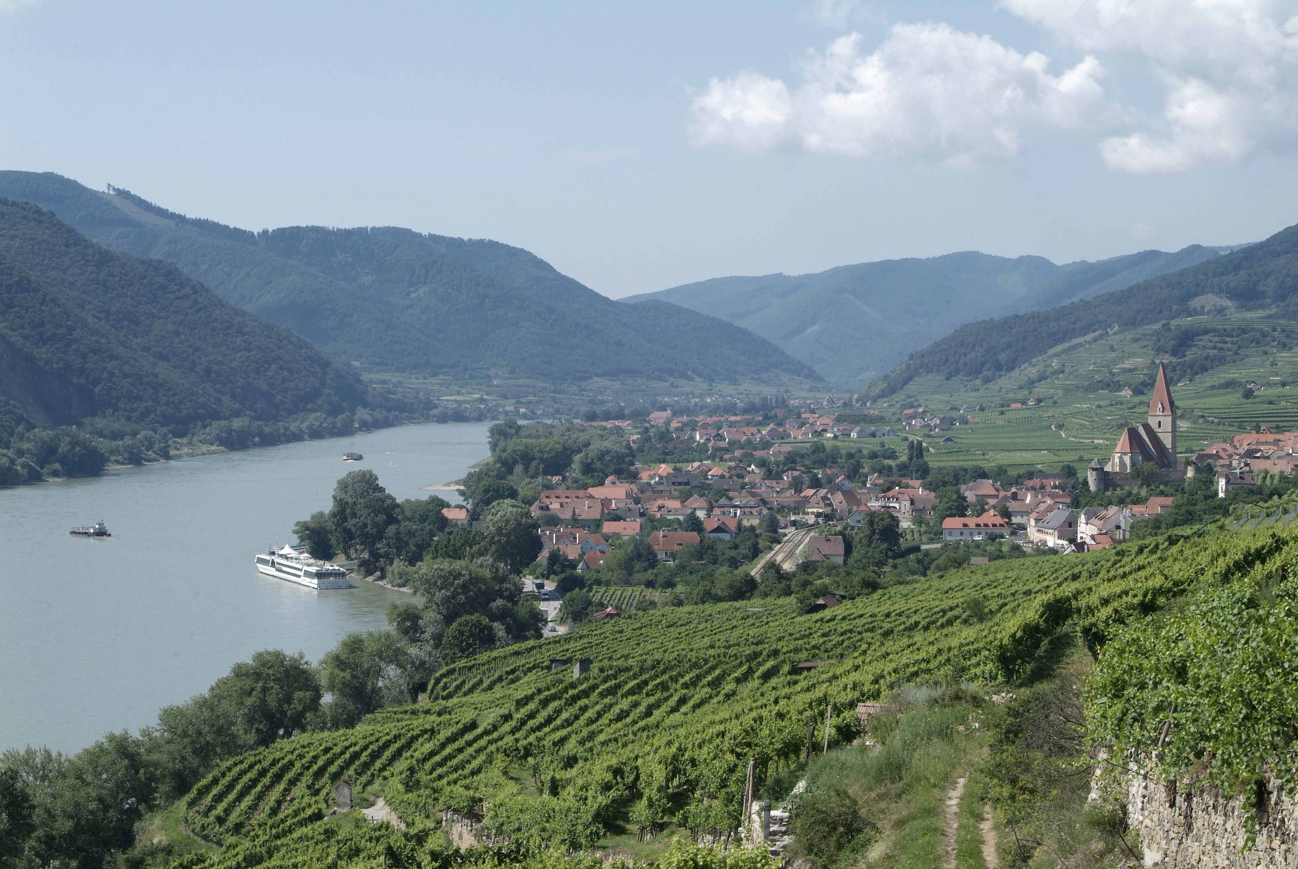 Pohled na Weißenkirchen ve Wachau s Dunajem a vinicemi.
