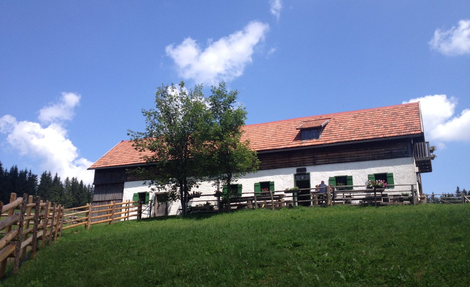 Tradiční alpská stavba s červenou taškovou střechou a zelenými okenicemi na louce pod modrou oblohou.