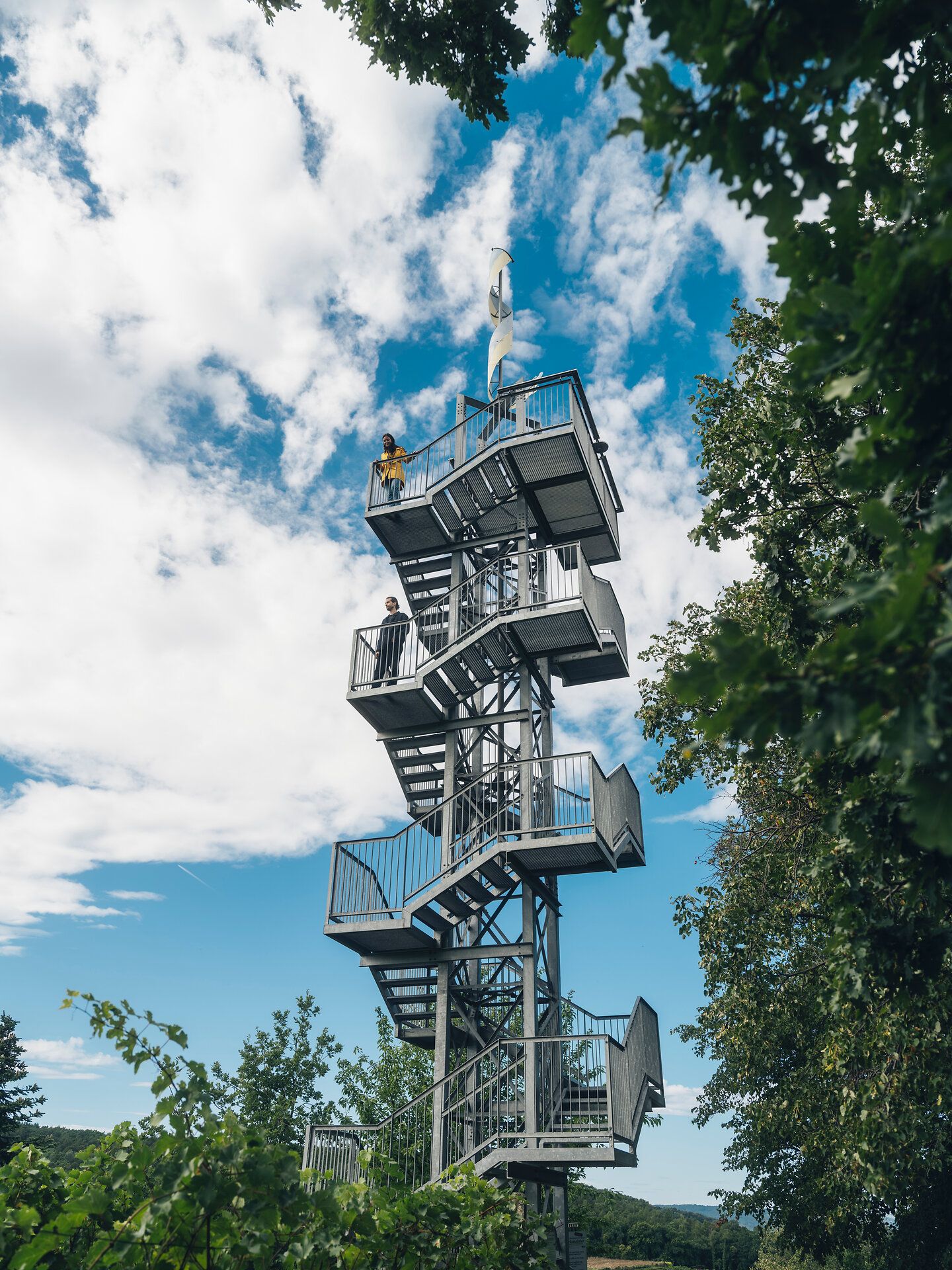 Detail červených bobulí na holé větvi se sněhem v pozadí.