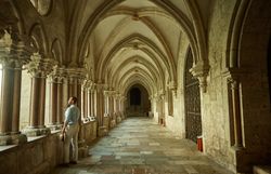 Der Kreuzgang des Klosters Heiligenkreuz strahlt eine ruhige und meditative Atmosphäre aus. Die sanften Bögen und die kunstvollen Säulen laden dazu ein, die Seele baumeln zu lassen und die Schönheit der historischen Architektur zu genießen.