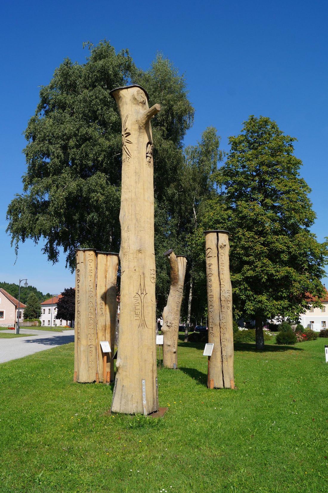 Stromy na sympoziu