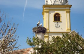 Marienweg Etappe Kirchschlag - Kirchberg a. Wechsel, © Wiener Alpen in Niederösterreich