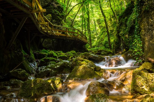 Turistika ve stínu rokliny Johannesbachklamm, © Wiener Alpen / Christian Kremsl